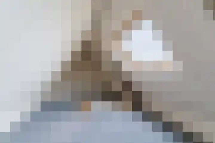 Raadhuisstraat 86 Dirkshorn thumbnail 41