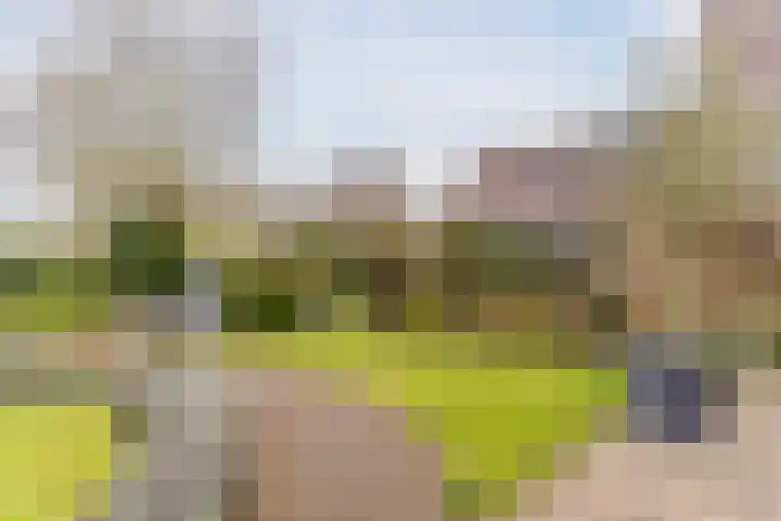 Raadhuisstraat 86 Dirkshorn thumbnail 44