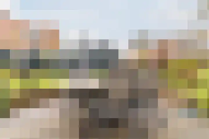 Raadhuisstraat 86 Dirkshorn thumbnail 46