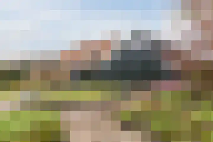 Raadhuisstraat 86 Dirkshorn thumbnail 47
