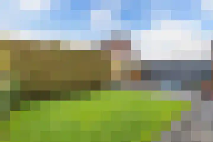 Raai 123 Drachten thumbnail 19