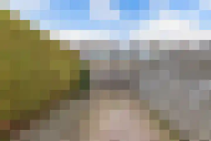 Raai 123 Drachten thumbnail 21