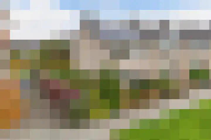 Raai 123 Drachten thumbnail 31