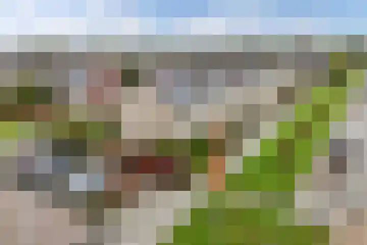 Raai 123 Drachten thumbnail 32