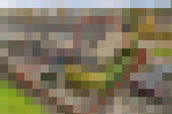 Raai 123 Drachten thumbnail 4