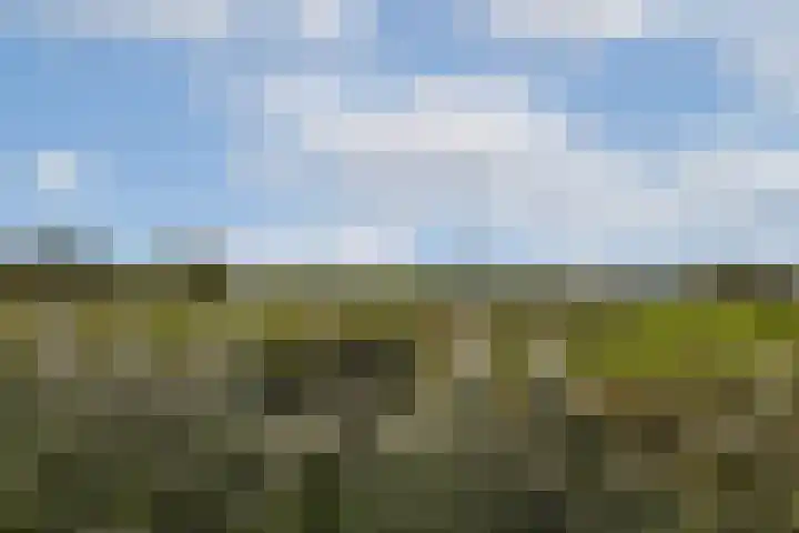 Raaigras 10 Spijkenisse thumbnail 25