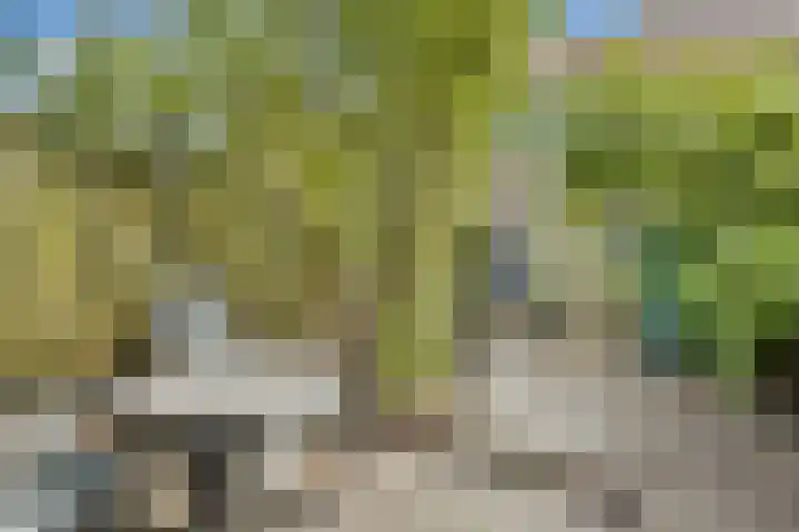 Raaigras 10 Spijkenisse thumbnail 5