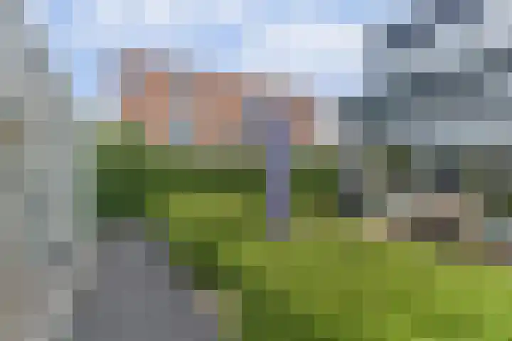 Raaigras 2 Zeewolde thumbnail 37