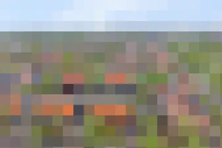 Raaigras 2 Zeewolde thumbnail 39