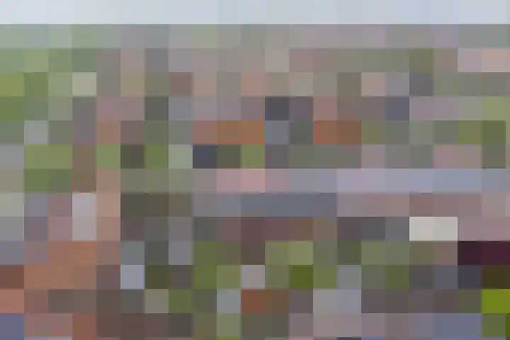 Raaigras 2 Zeewolde thumbnail 41