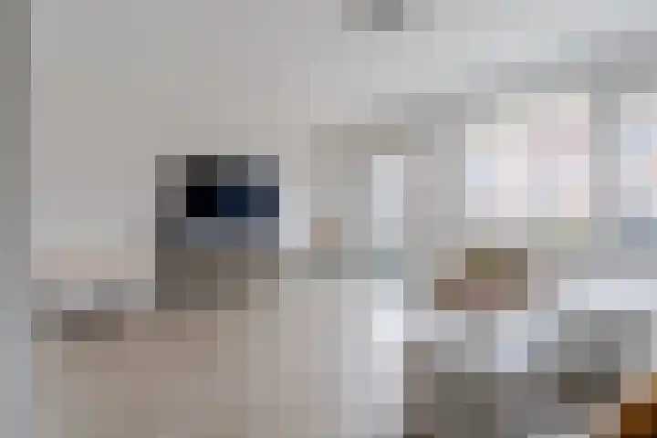 Raaigras 23 Assendelft thumbnail 11