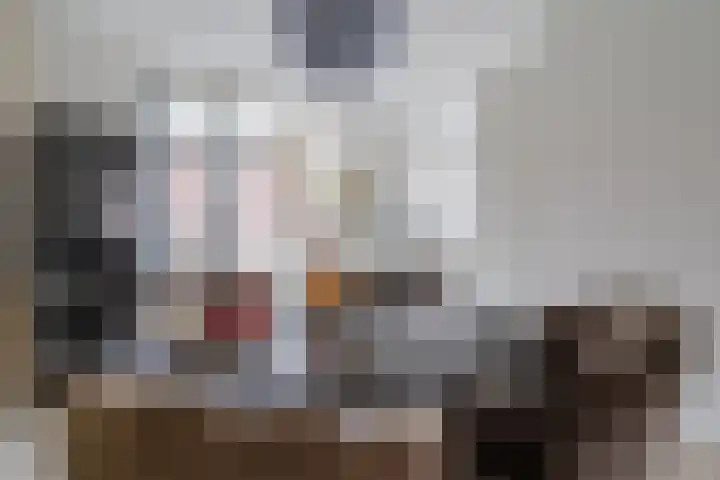 Raaigras 23 Assendelft thumbnail 16