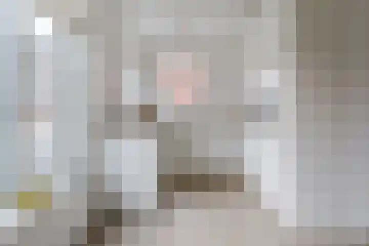 Raaigras 23 Assendelft thumbnail 18