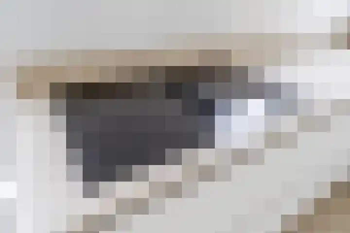 Raaigras 23 Assendelft thumbnail 23