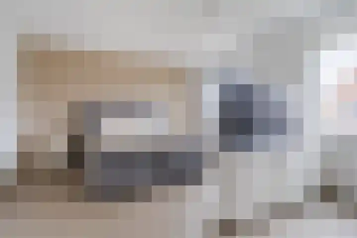 Raaigras 23 Assendelft thumbnail 29