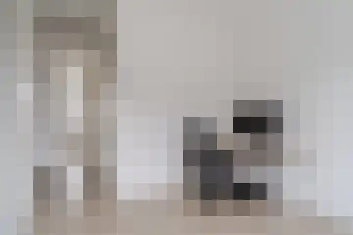 Raaigras 23 Assendelft thumbnail 33