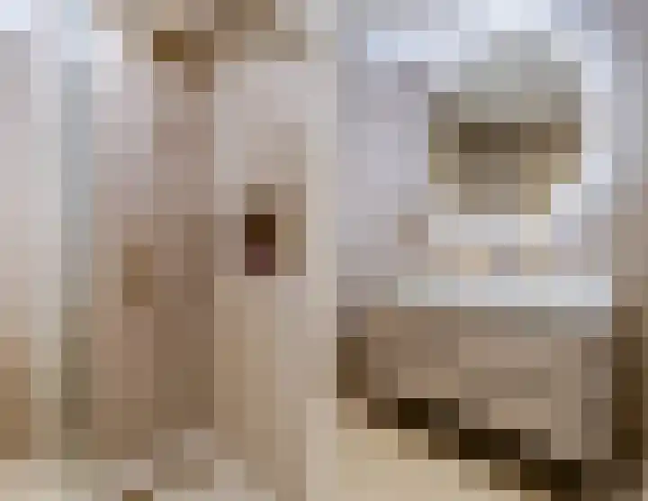 Raaigras 23 Assendelft thumbnail 42