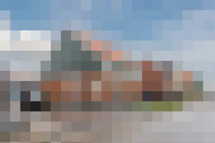 Raaigras 23 Assendelft thumbnail 63