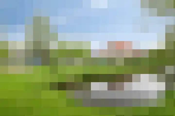 Raaigras 25 Rotterdam thumbnail 33