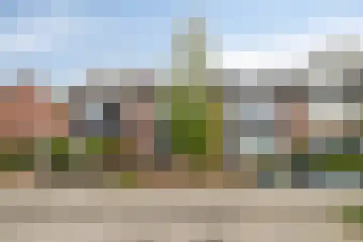 Raaigras 25 Rotterdam thumbnail 42