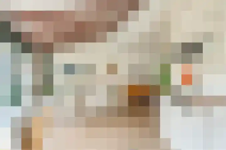 Raaigras 4 Gouda thumbnail 10