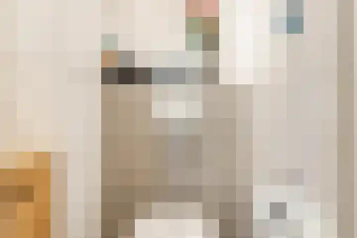 Raaigras 4 Gouda thumbnail 13