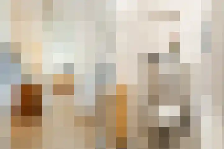 Raaigras 4 Gouda thumbnail 14