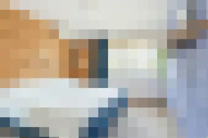 Raaigras 4 Gouda thumbnail 15