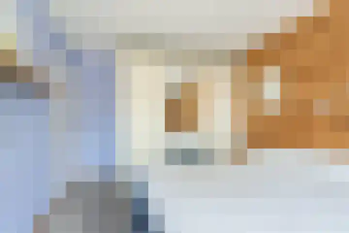 Raaigras 4 Gouda thumbnail 16