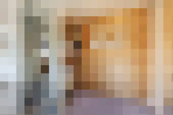 Raaigras 4 Gouda thumbnail 20