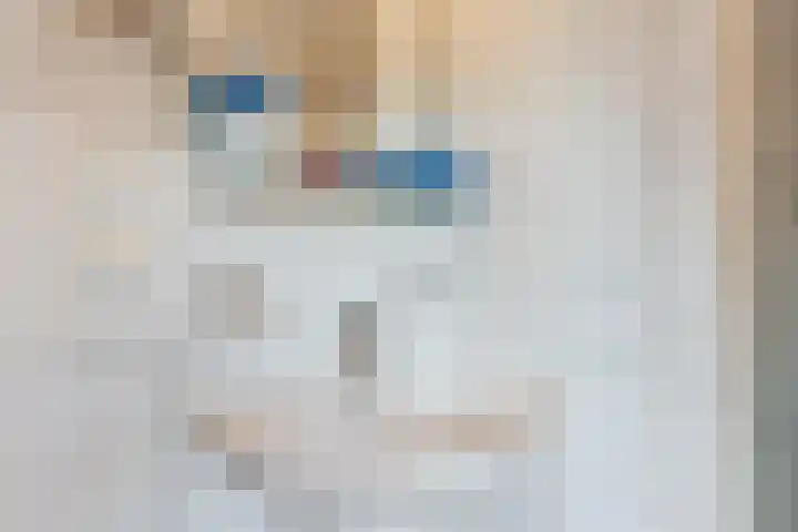 Raaigras 4 Gouda thumbnail 23