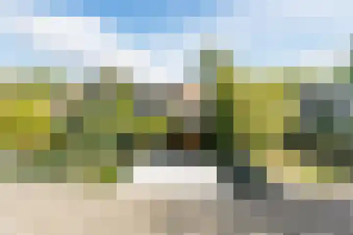 Raaigras 4 Gouda thumbnail 28