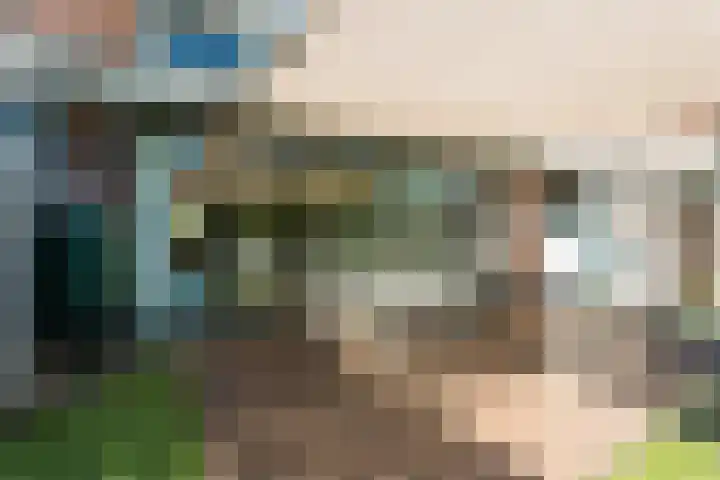 Raaigras 4 Gouda thumbnail 30