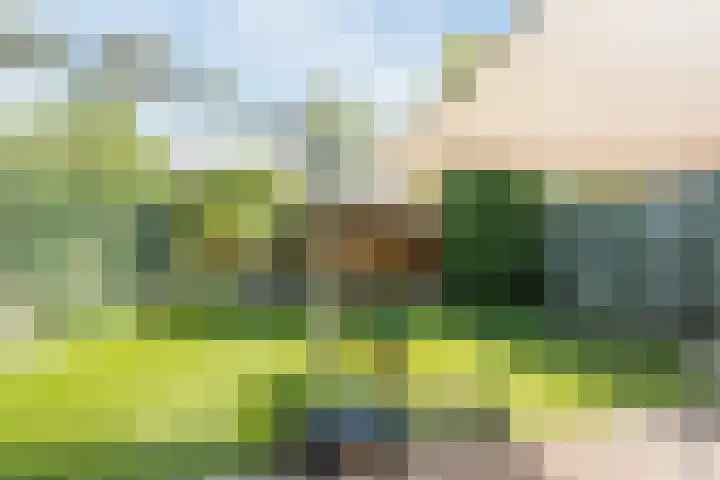 Raaigras 4 Gouda thumbnail 31
