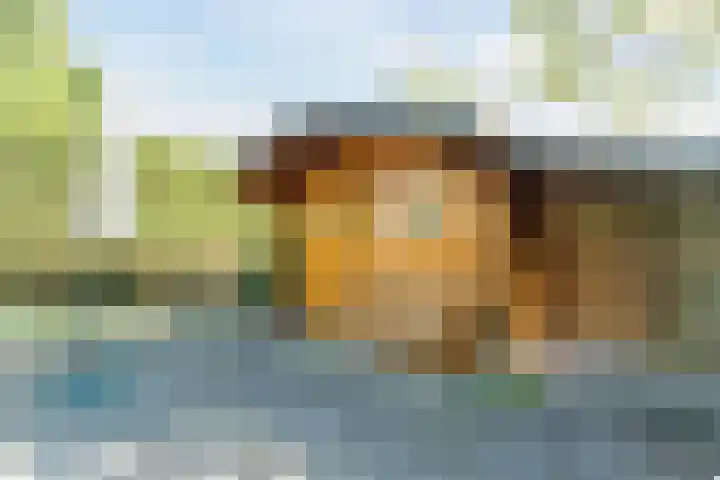 Raaigras 4 Gouda thumbnail 32