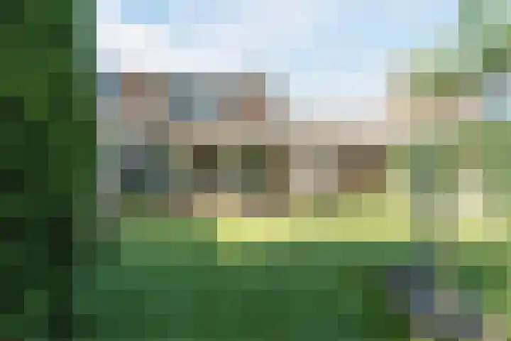 Raaigras 4 Gouda thumbnail 33