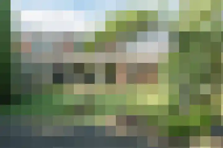Raaigras 4 Gouda thumbnail 34