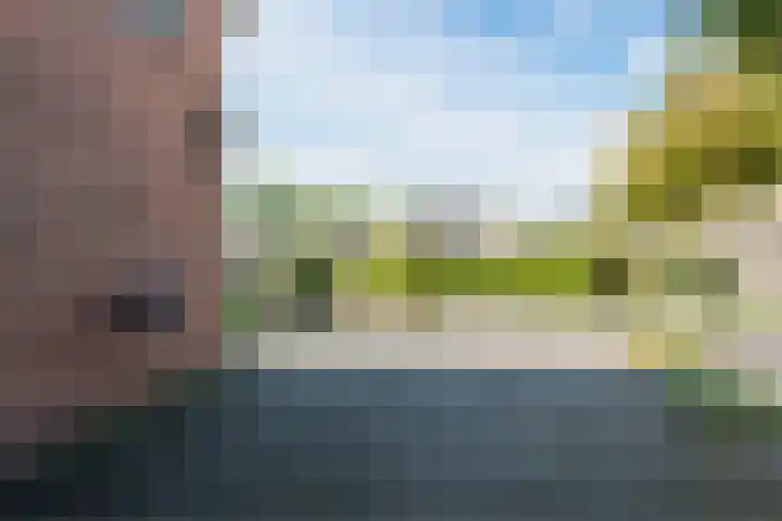 Raaigras 4 Gouda thumbnail 35