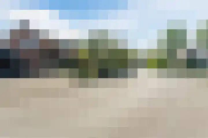 Raaigras 4 Gouda thumbnail 37