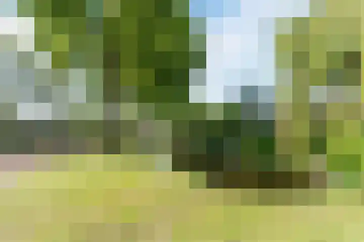 Raaigras 4 Gouda thumbnail 38