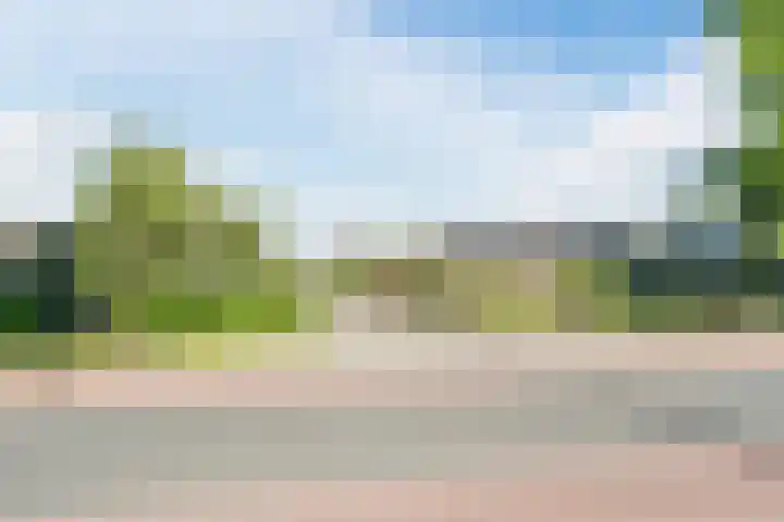 Raaigras 4 Gouda thumbnail 39