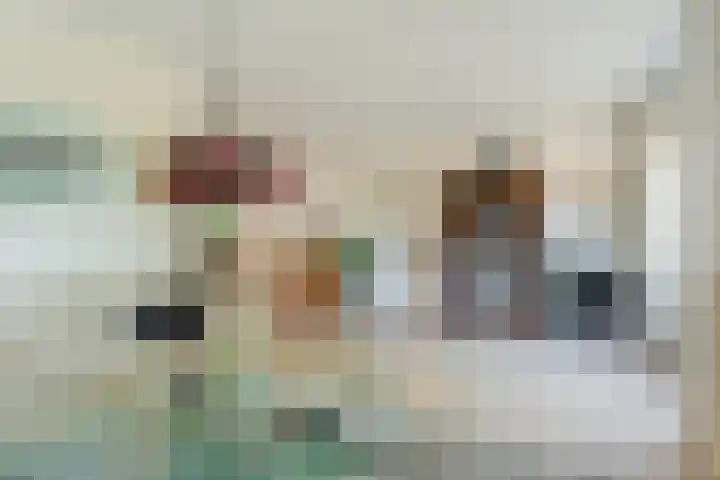 Raaigras 4 Gouda thumbnail 4