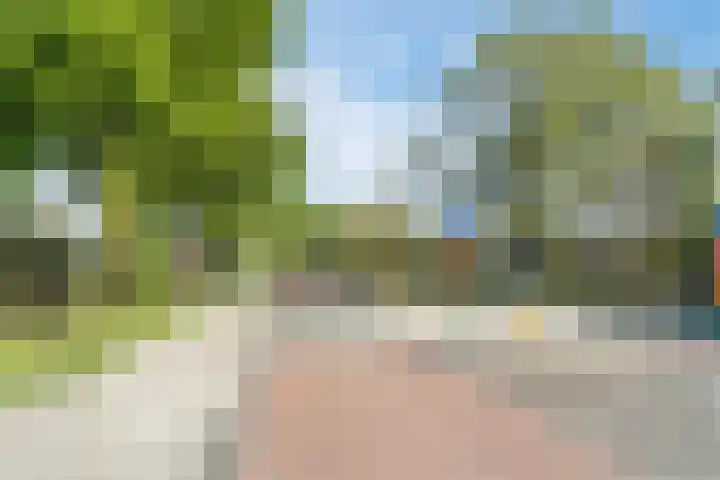 Raaigras 4 Gouda thumbnail 40