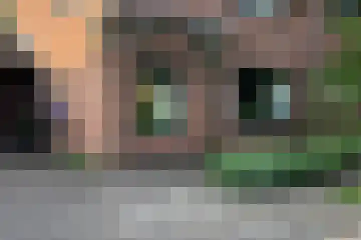 Raaigras 4 Gouda thumbnail 41
