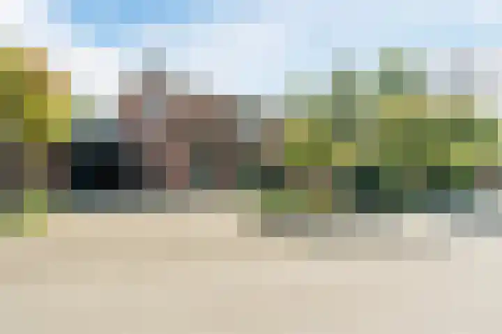 Raaigras 4 Gouda thumbnail 42