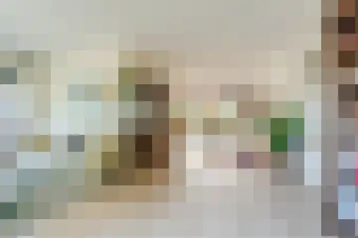 Raaigras 4 Gouda thumbnail 5