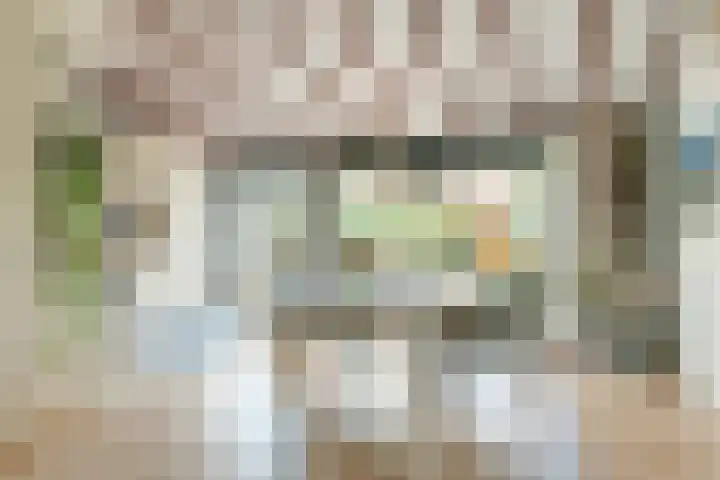 Raaigras 4 Gouda thumbnail 6