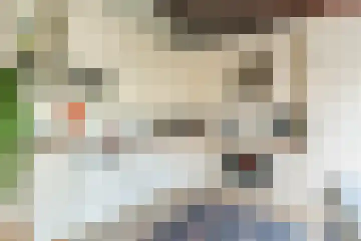 Raaigras 4 Gouda thumbnail 9