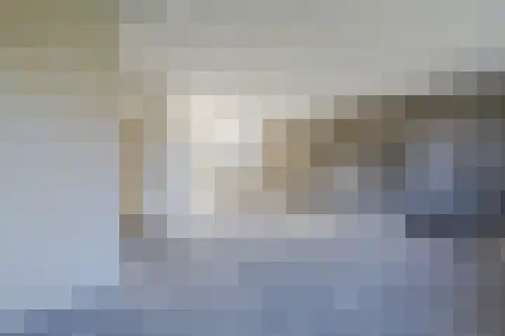 Raaigras 40 Assendelft thumbnail 11