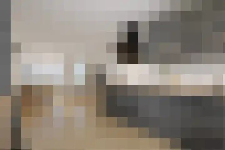 Raaigras 40 Assendelft thumbnail 12